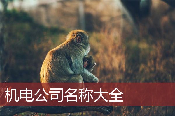 机电公司名称大全