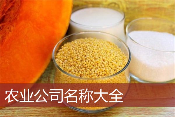 农业公司名称大全
