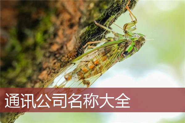 通讯公司名称大全