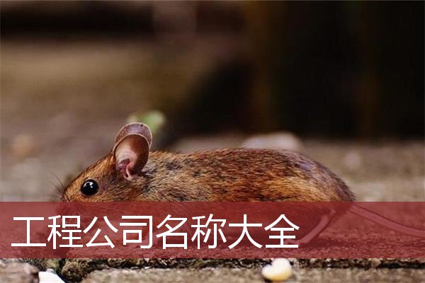 工程公司名称大全