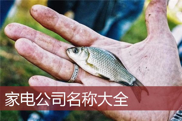 家电公司名称大全