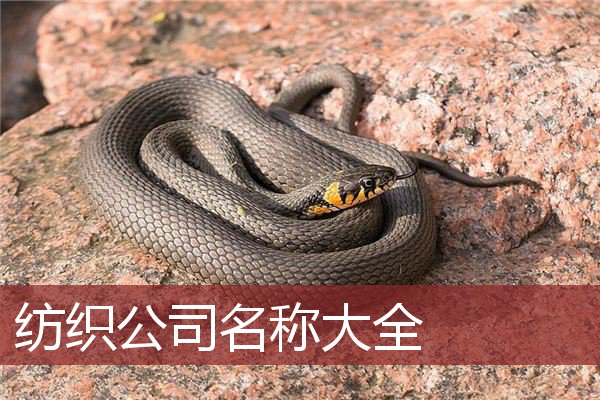 纺织公司名称大全