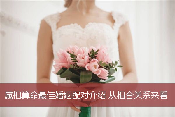 属相算命最佳婚姻配对介绍 从相合关系来看