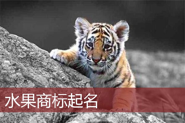水果商标起名