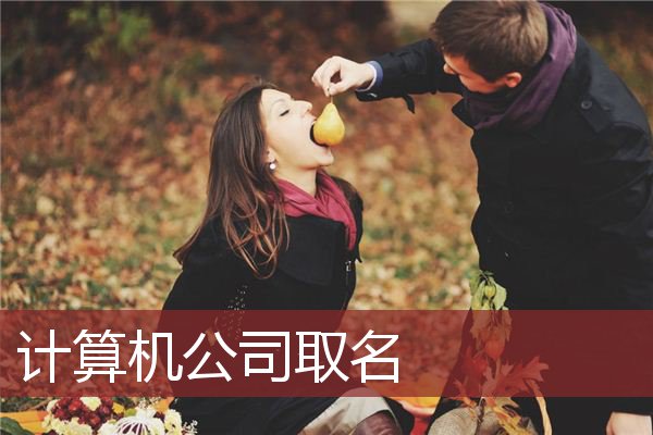 计算机公司取名