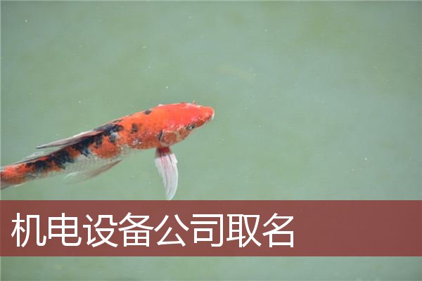 机电设备公司取名