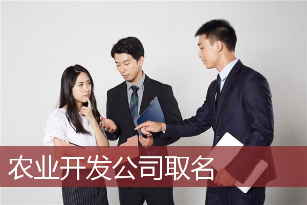 农业开发公司取名