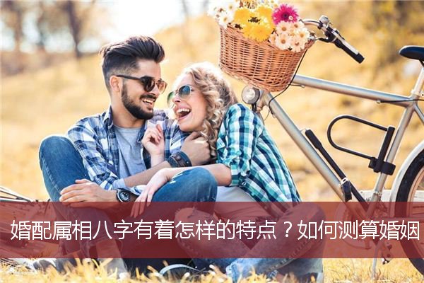 婚配属相八字有着怎样的特点？如何测算婚姻？