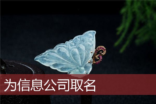 为信息公司取名