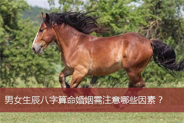 男女生辰八字算命婚姻需注意哪些因素？