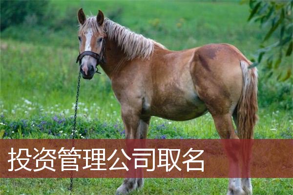 投资管理公司取名