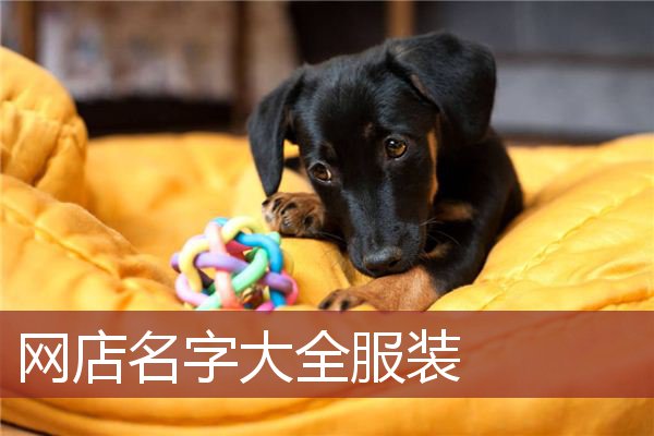 网店名字大全服装