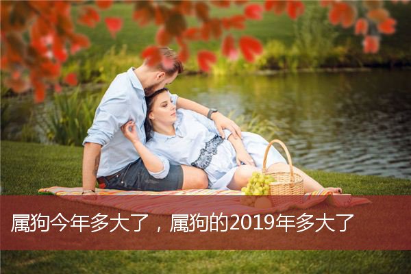 属狗今年多大了，属狗的2019年多大了