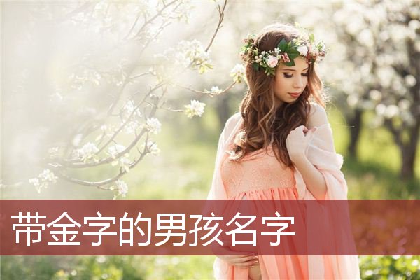 带金字的男孩名字