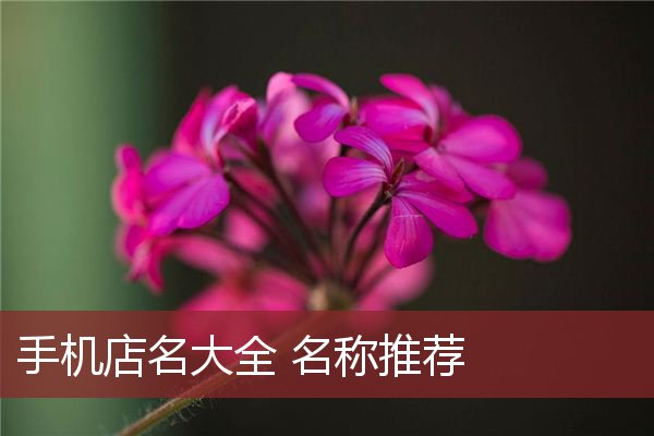 手机店名大全 名称推荐