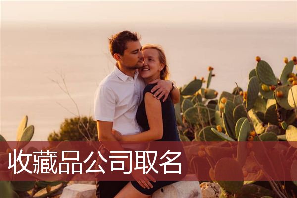 收藏品公司取名