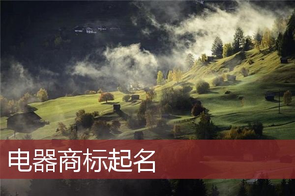 电器商标起名