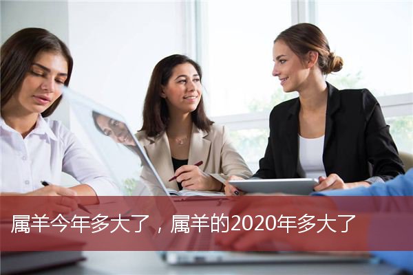 属羊今年多大了，属羊的2020年多大了