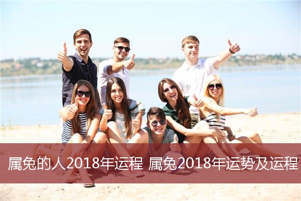 属兔的人2018年运程 属兔2018年运势及运程