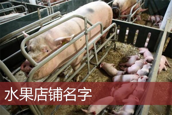 水果店铺名字
