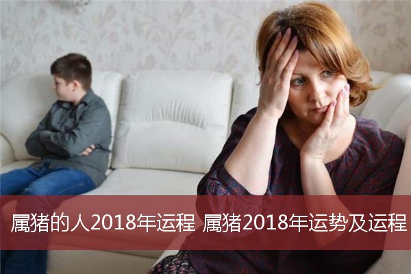 属猪的人2018年运程 属猪2018年运势及运程