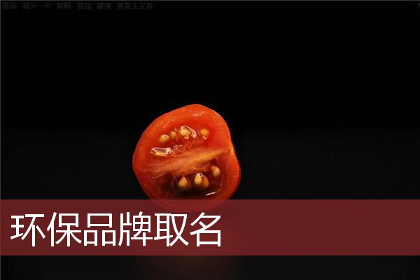 环保品牌取名