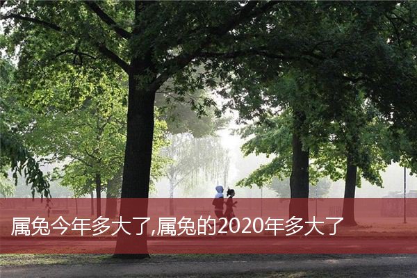 属兔今年多大了,属兔的2020年多大了