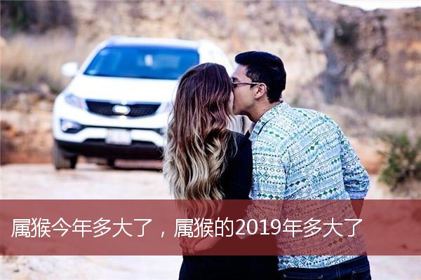 属猴今年多大了，属猴的2019年多大了