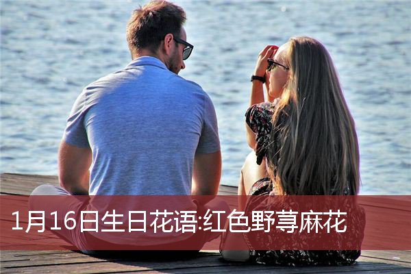 1月16日生日花语:红色野荨麻花