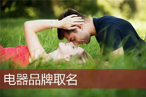 电器品牌取名