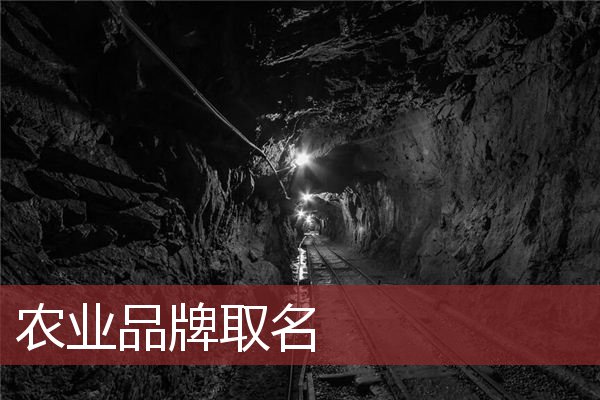 农业品牌取名