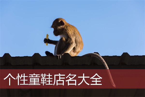 个性童鞋店名大全