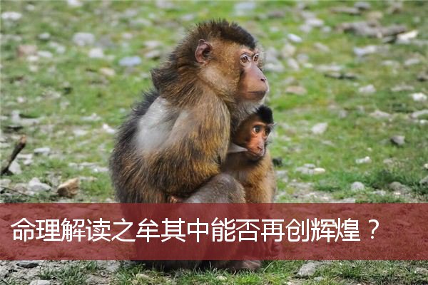 命理解读之牟其中能否再创辉煌？