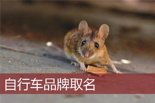 自行车品牌取名