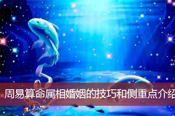 周易算命属相婚姻的技巧和侧重点介绍