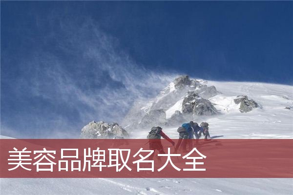 美容品牌取名大全