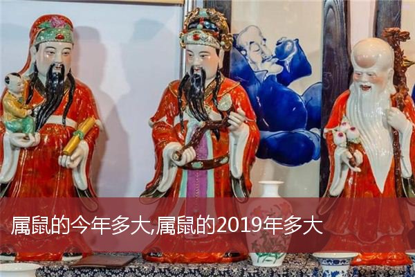 属鼠的今年多大,属鼠的2019年多大