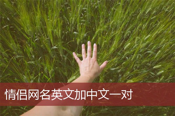 情侣网名英文加中文