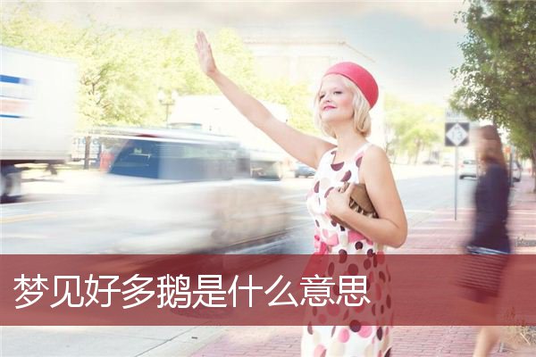 梦见好多鹅是什么意思