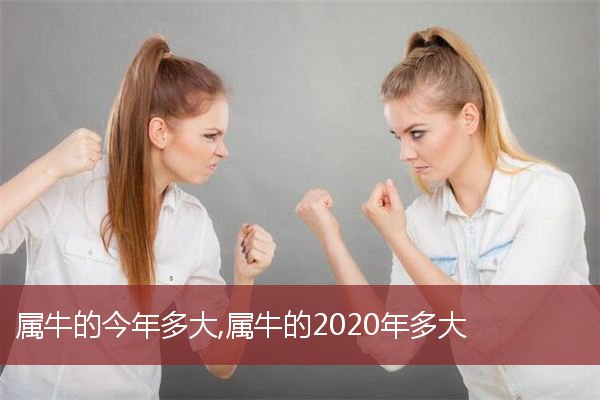 属牛的今年多大，属牛的2020年多大