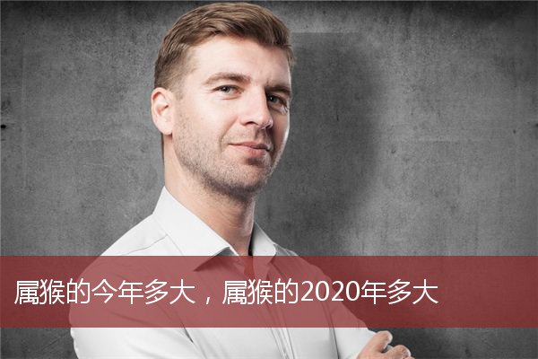 属猴的今年多大,属猴的2020年多大