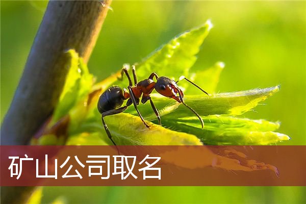 矿山公司取名