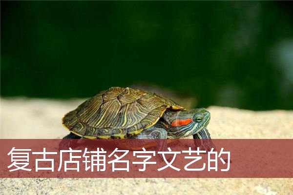 复古店铺名字文艺的