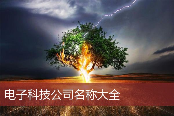 电子科技公司名称大全