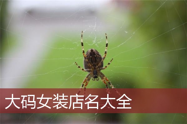 大码女装店名大全