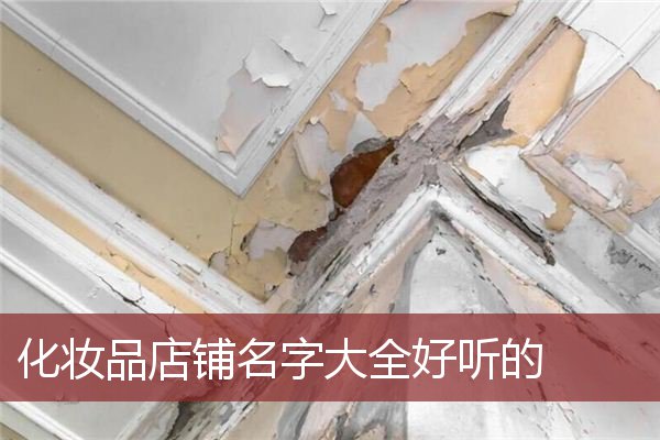 化妆品店铺名字大全好听的