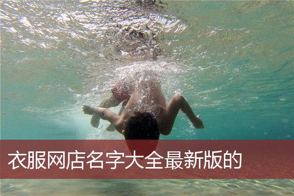 衣服网店名字大全最新版的
