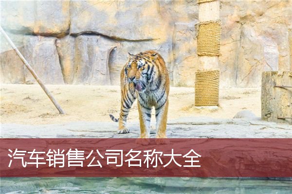 汽车销售公司名称大全