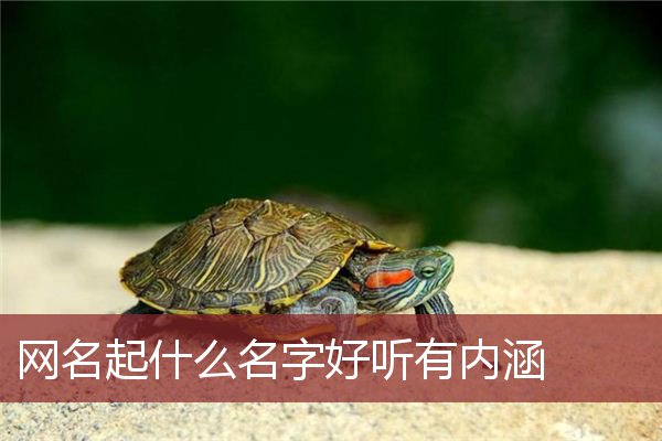 网名起什么名字好听