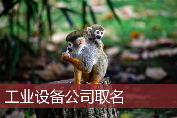工业设备公司取名